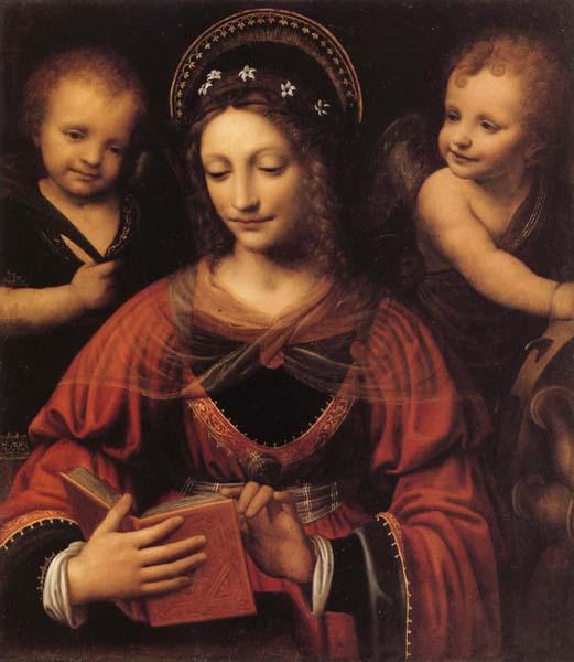 LUINI, Bernardino St.Catherine oil painting picture